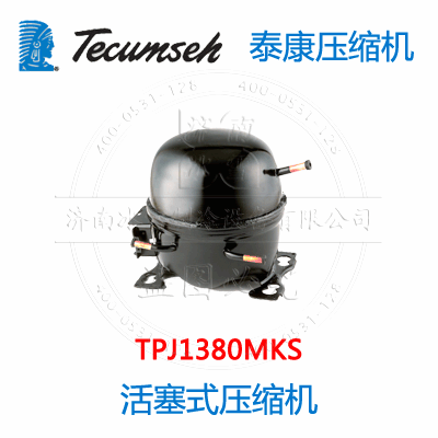 TPJ1380MKS